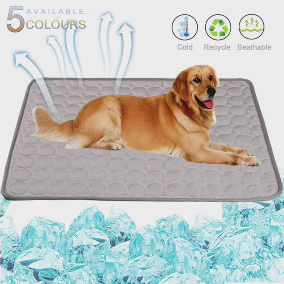 Pet Summer Portable Ice Silk Cooling Pad